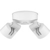 Lithonia Lighting HomeGuard 2-Light LED Outdoor Flood Lights, Wall or