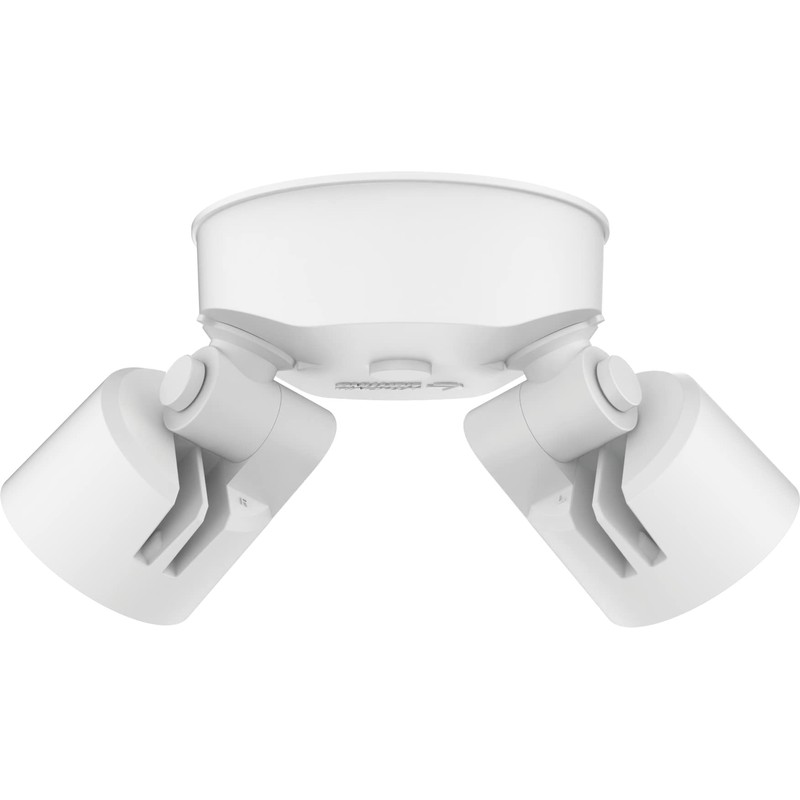 Lithonia Lighting HomeGuard 2-Light LED Outdoor Flood Lights, Wall or