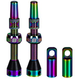 BWSHLF Tubeless Presta Valve Stem Kit - Universal Fit, Aluminum, 40/44/55/60/65/80/100 mm, Multicolor, 2 Pack with Valve Core Remover Tool and Caps