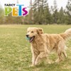 Fancy Pets Pelota Fetch Spiky Color Azul Tamaño Grande para