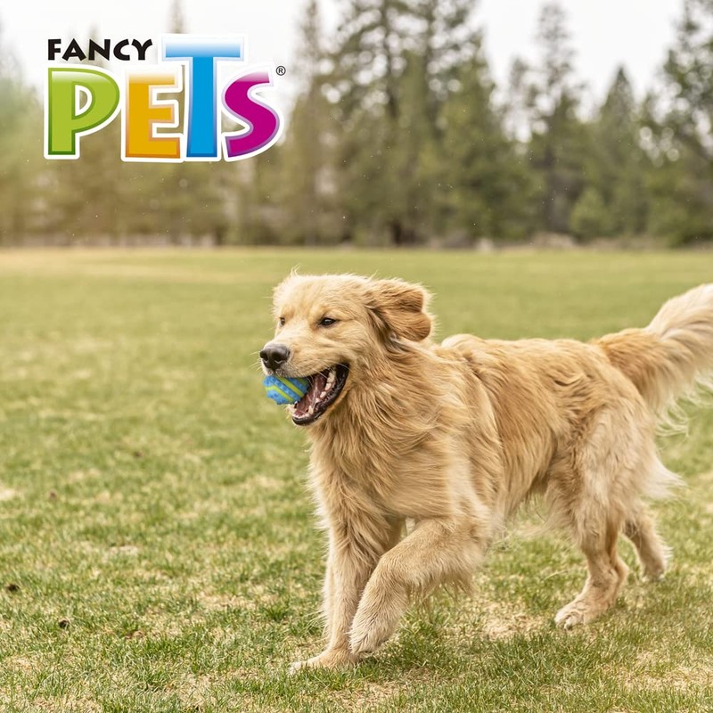 Fancy Pets Pelota Fetch Spiky Color Azul Tamaño Grande para
