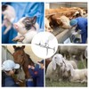 5ML Livestock Syringe Injection,Adjustable Continuous Injection Gun Semi-Automatic Syringe with