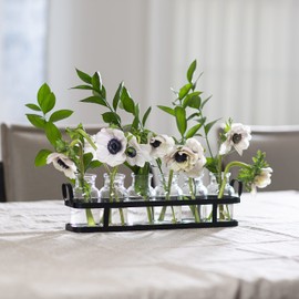 6pc Glass Flower Vase with Metal Holder, Best Vases Set for Home & Table Decor Flowers, Wedding Decorations, Kitchen, Bathroom, Bedroom, Modern Shelf Decor, Terrarium Arrangement