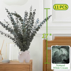 11 PCS Real Dried Eucalyptus Stem for Shower & Bathroom Decor - 17'' Large Natural Fresh Eucalyptus Leaves Hanging Plants, Shower Stuff Green Home Vase Decor, DIY