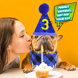 Amaxiu Dog Birthday Party Set, Boy Dog Birthday Bandana Hat with 8 Bling Number Pet Happy Birthday Supplies Glitter Hat Plaid Bandana for Small Medium Large Dogs (Blue)
