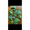 Catalpa, Southern Catalpa Tree Seeds, (For Raising Catalpa Worms) Catfish
