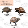 S.T.S.G Turtle Turtle Figurine Garden Gardening Garden Object Interior Decoration