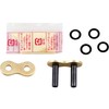 DID Unisex Adult 530VX3GB N Chain Lock, Gold & Black,