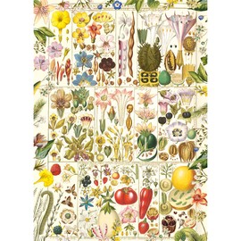 Gibsons RHS Botanical Bliss | 1000 Piece Jigsaw Puzzle | World of Plant Anatomy Beautiful Artwork | Sustainable Puzzle for Adults | Premium 100% Recycled Board | Great Gift | Gibsons Games