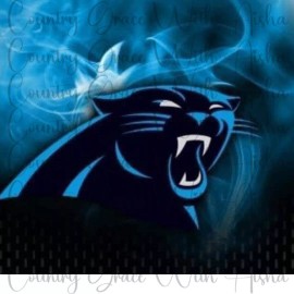 Handmade 20oz Skinny Tumbler Sublimation Transfer Panthers Football Ready To Press