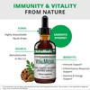NutraMedix NutraMedix VitalMedix - Cat's Claw & Moringa Plant Extract