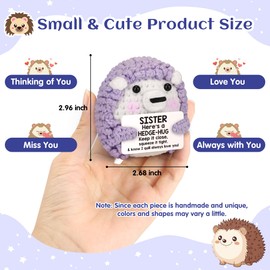 Funny Hedgehog Sister Adult Easter Basket Stuffers Essentials for Teens Easter Egg Fillers,Mothers Day Big Little Sis Gifts, Mini Crochet Animals Desk Decor,Sister Birthday Graduation Gift from Sister
