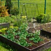 AGTEK 34" x 48" Foldable Cucumber Trellis with Garden Stakes