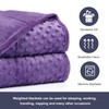 Alomidds Weighted Blanket, Luxury Velvet Weighted Blankets for Adults,Warm Soft