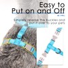 ThinkPet Reflective Breathable Soft Air Mesh No Pull Puppy Choke