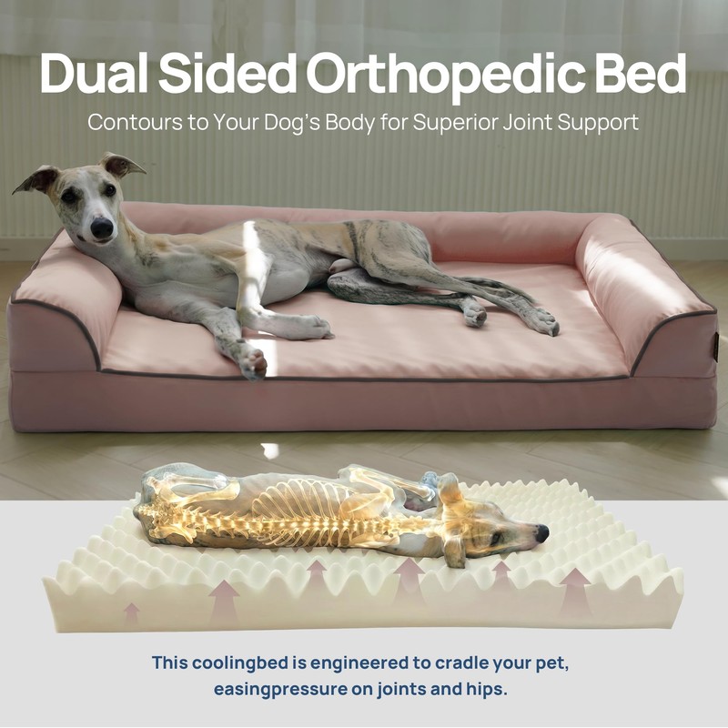 blunique Cooling Dog Bed for Small, Medium Dogs & Cats