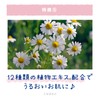 Coolist Acedalene Romantic Summer Scent