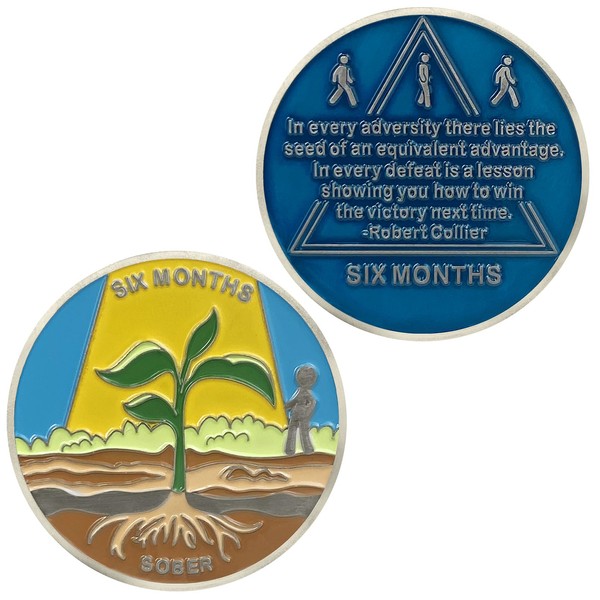 6 Month Sobriety Coin AA Chips and Medallions,Sobriety Recovery Chip