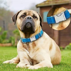 Love Dream Reflective Dog Collar with Metal Buckle, Adjustable Safety Nylon Dog Collars with Heavy Duty Quick Release Buckle for Small Medium Large Dogs, Pet Collar with ID Tag Ring (Large, Blue)