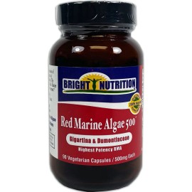Bright Nutrition Alga Marina Roja 500mg 90 Cápsulas