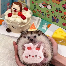 Fejapa 10 Pcs Hedgehog Pet Toys Small Animal Accessories for Hedgehogs Enrichment Toys Cage Ball Bell Toy Hedgehog Supplies Exercies Interactive Plush Toy