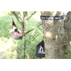 Maxboost TMX22-NH12JF011 Hammock Strap, Black/Green, Includes Dedicated Storage Bag, Lifetime
