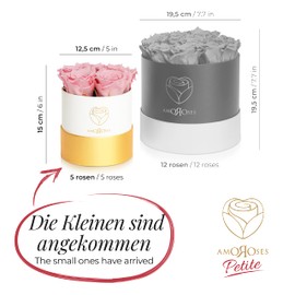 Amoroses Petite - Gift Box 5 Eternal Stabilised Roses - Elegant Bouquet of Real Flowers | Mother's Day (White Box with Pink Roses)