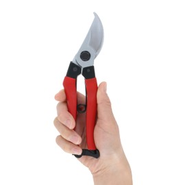 Takagi ST-02 Sunflower Factory x TAKAGI Pruning Shears, 7.9 inches (200 mm), Red Grip