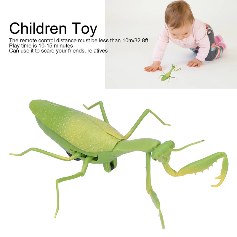Remote Control Insects RC Animals Children Adults Trick Toys Electric