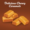 Werthr's Original Chewy Caramel Candy 1 Pound Individually Wrapped Healthy
