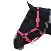 Hy Deluxe Padded Head Collar: Green: cob