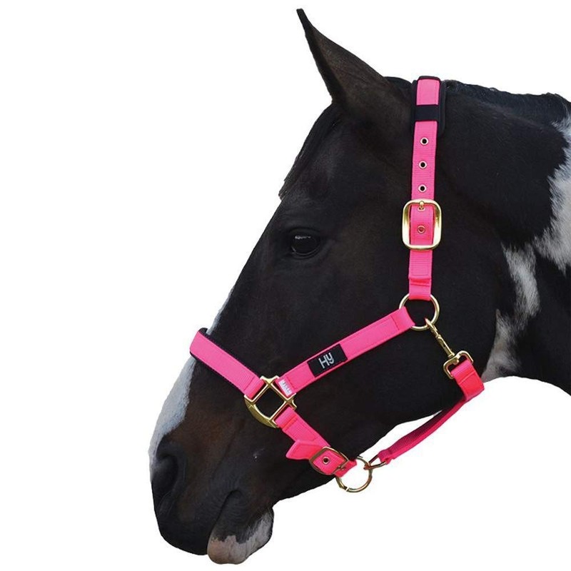 Hy Deluxe Padded Head Collar: Green: cob