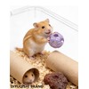 DIYUQISHI 10-Pack Hamster Play Balls, PP Plastic Toys, 1.5–2.2 Inch