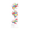 DNA Structure Model Colorful Double Spiral Assemble Model Science Educational