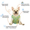 CuteBone Dog Surgery Recovery Suit Cat Surgical Onesie Female Body