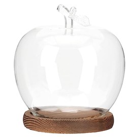 Beavorty Glass Dome Display with Antique Wood Base for Crafts Protective Cover for Home and Collectibles Elegant Showcase for Tabletop Decoration