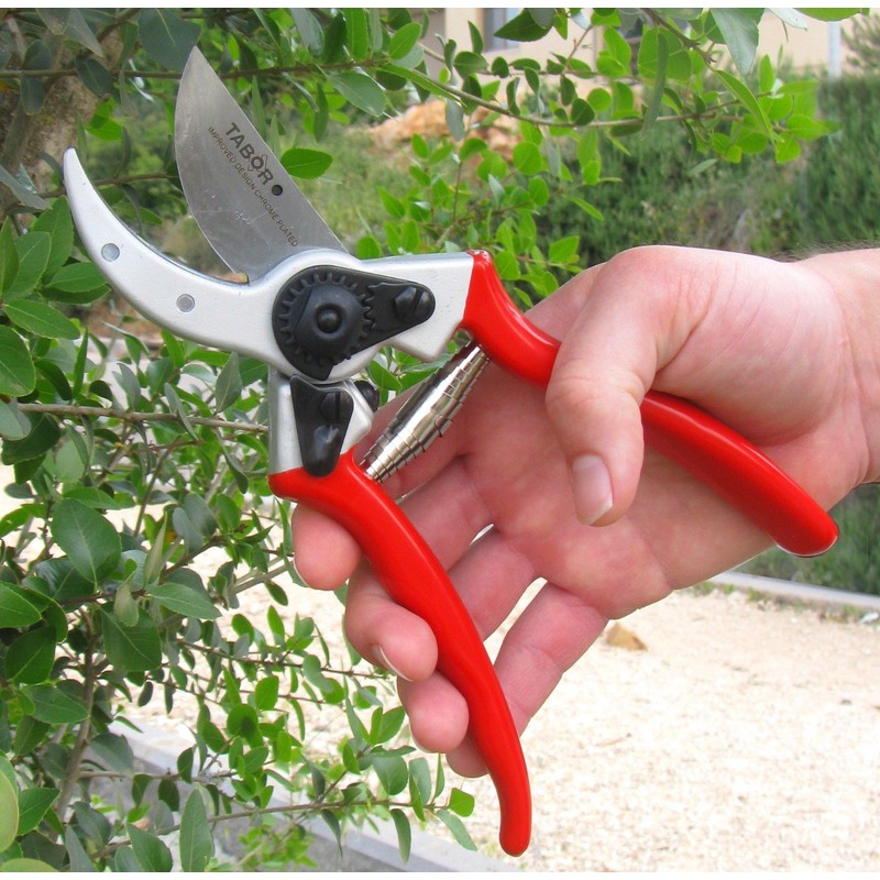 Ars Tiger T2, 4000 – 00 Scissors