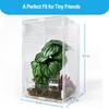 Duedusto Jumping Spider Enclosure 6”x6”x10”, Arboreal Tarantula Enclosure, Praying Mantis