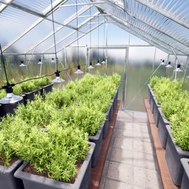 Danshinro 6-Light Outdoor LED Grow Lights – Waterproof Full Spectrum Greenhouse Lights for Plants, 21.3FT Adjustable String Lights with 288 LEDs E26 Base Bulbs, IP44 Waterproof for Garden, Farm, Yard