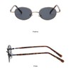 WDZAYXC Retro Sunglasses for Men and Women Oval Trendy Classic