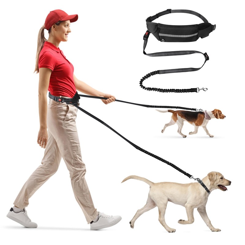 Corpower Dog lead