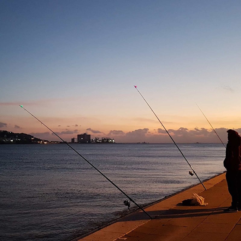 LemonBest - Alarma de mordida LED para pesca nocturna, paquete