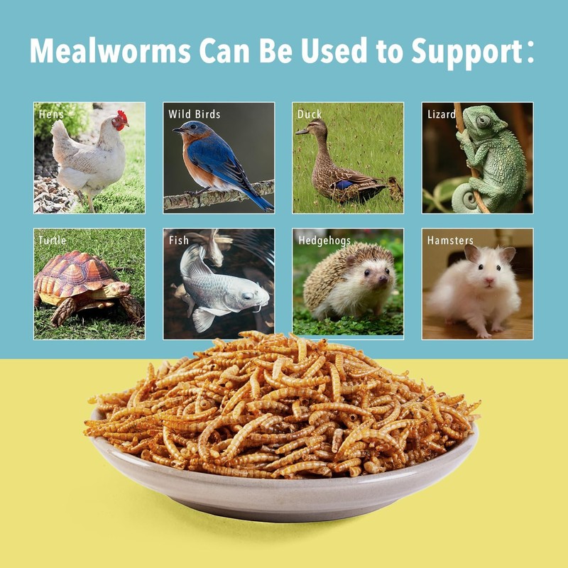 WormsFarm 10lb Dried Mealworms for Wild Birds Chickens Feed for