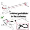 JLEivvi 2 PCS Dog Leash Extension Chew Proof Heavy Duty