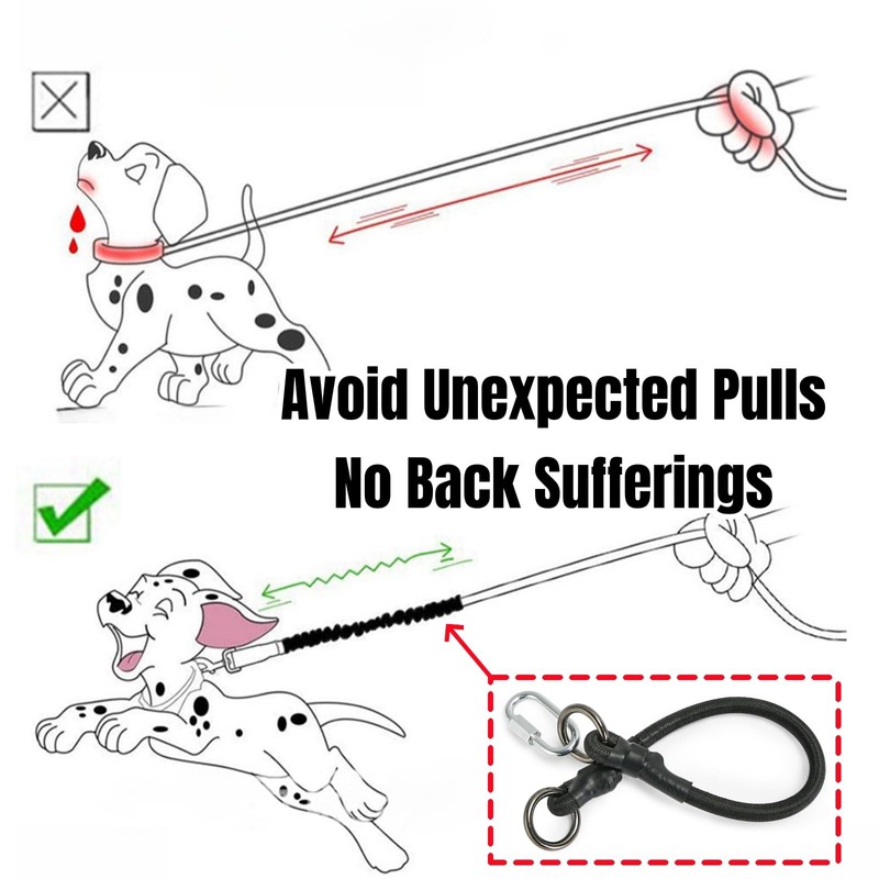 JLEivvi 2 PCS Dog Leash Extension Chew Proof Heavy Duty
