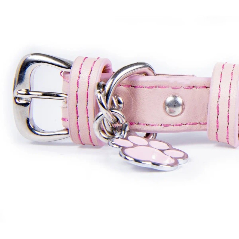 Collar Piel Perro Lujo Con Placa De Identificación Grabada