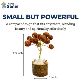 Home Genie Rudraksha Gemstone Money Tree | Pack of 1 | Spiritual Energy Tree for Prosperity, Positive Energy, and Home Decor