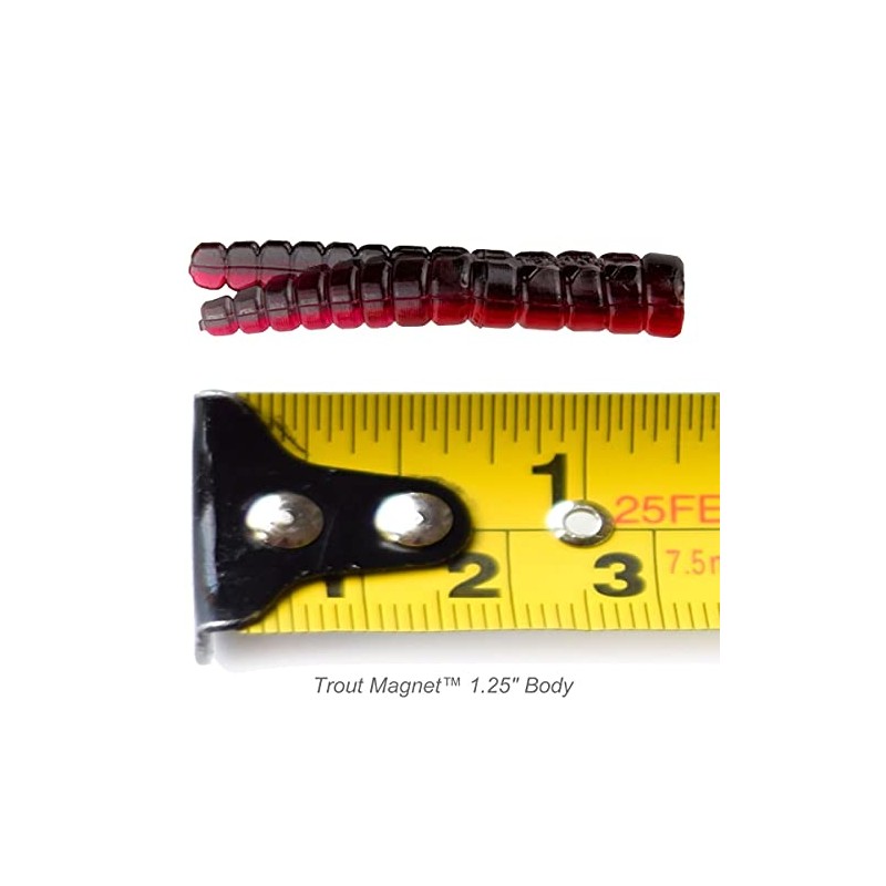 Leland's Lures Trout Magnet 50-Pack Split-Tail Grub Body Pack, Also