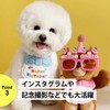 NYANDELMO Pet Hat Birthday Birthday Goods Pet Dog Cat Birthday