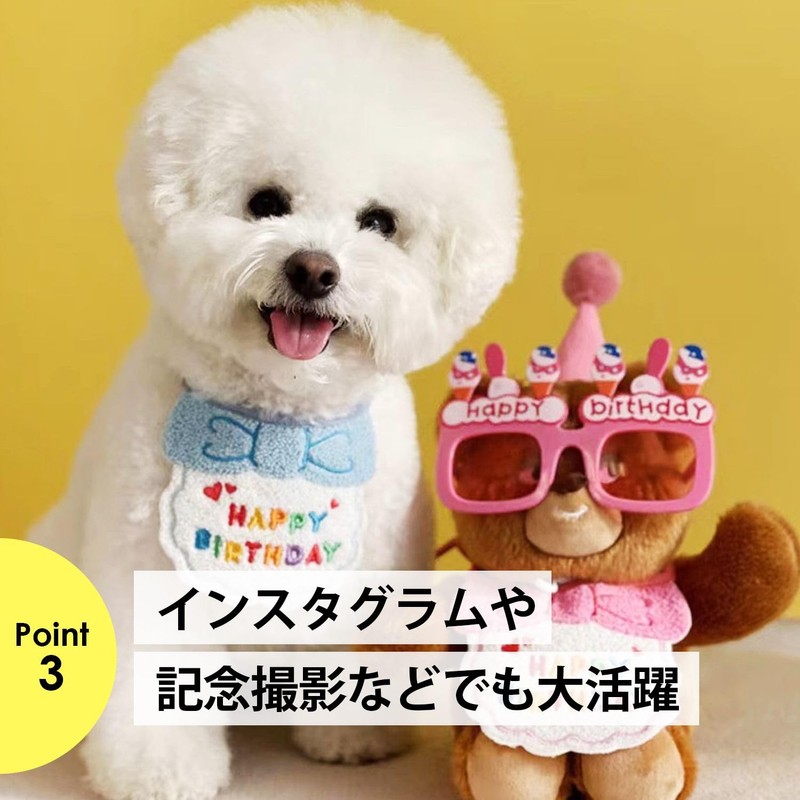 NYANDELMO Pet Hat Birthday Birthday Goods Pet Dog Cat Birthday